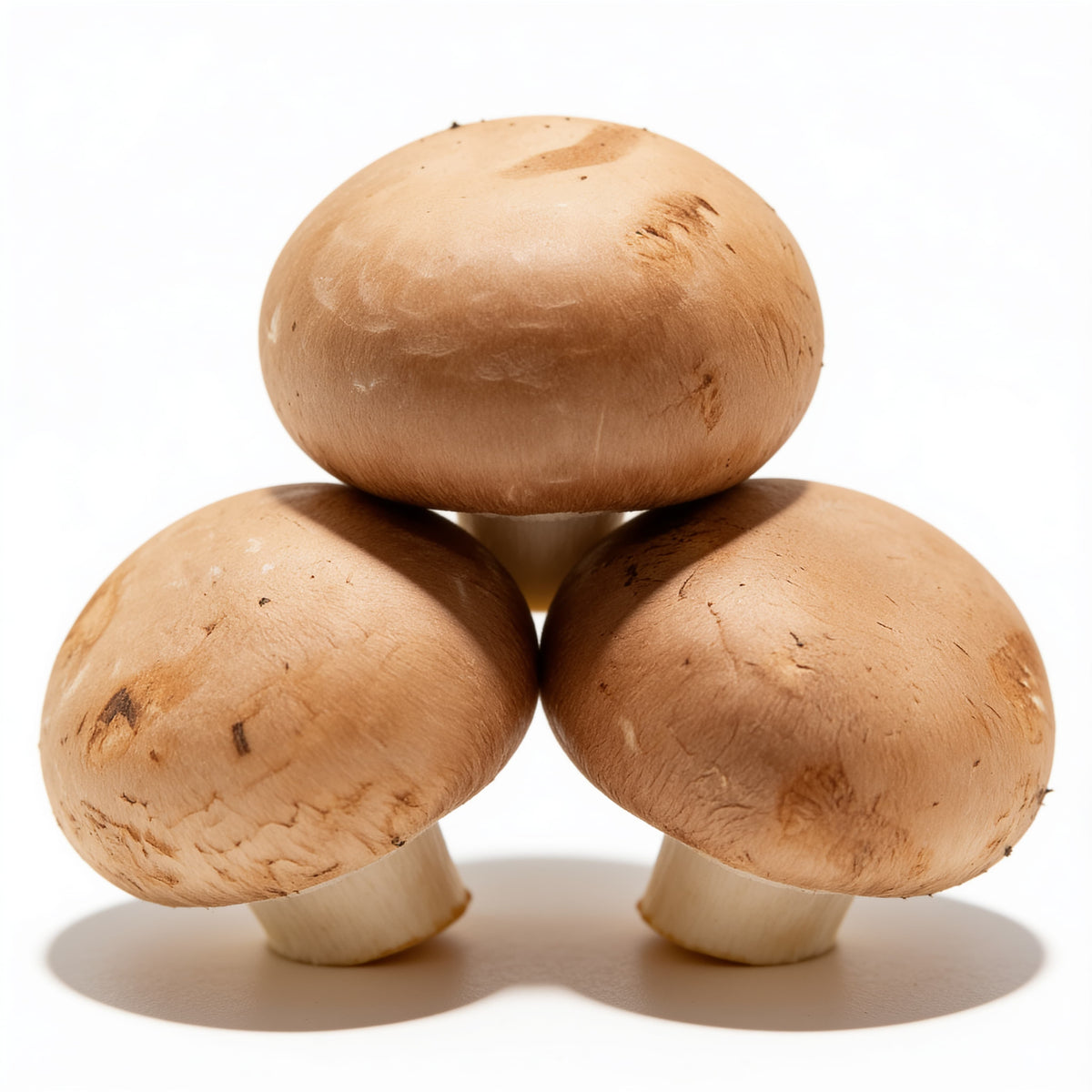 Champiñón Portobello a domicilio – Frutisano