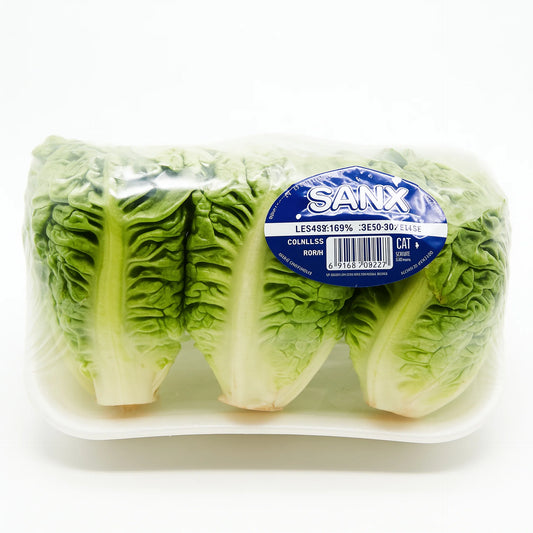 Cogollos de lechuga a domicilio – Frutisano
