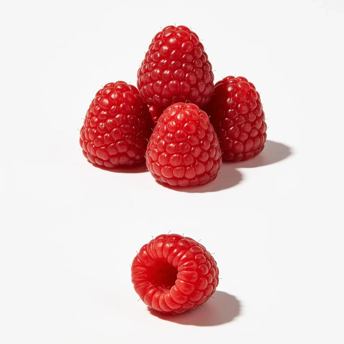 Frambuesa a domicilio – Frutisano