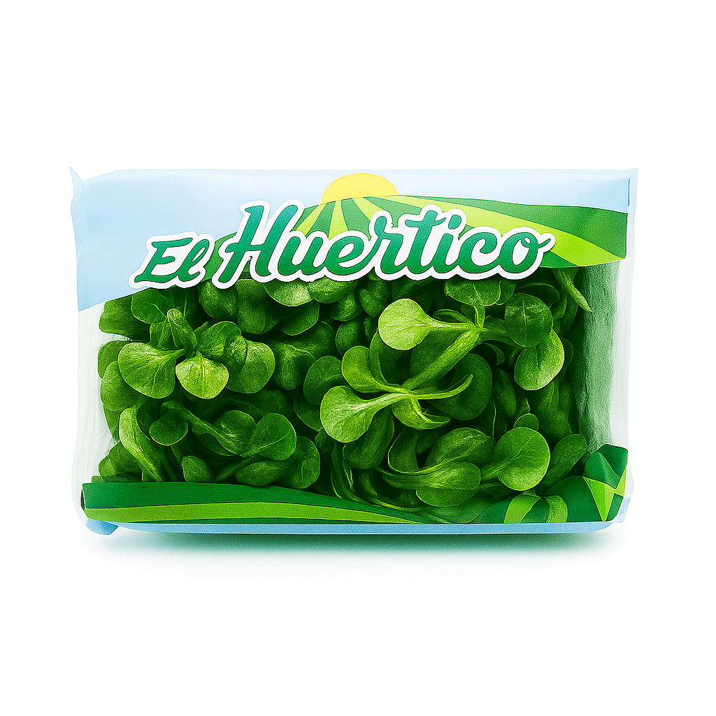 CANÓNIGOS