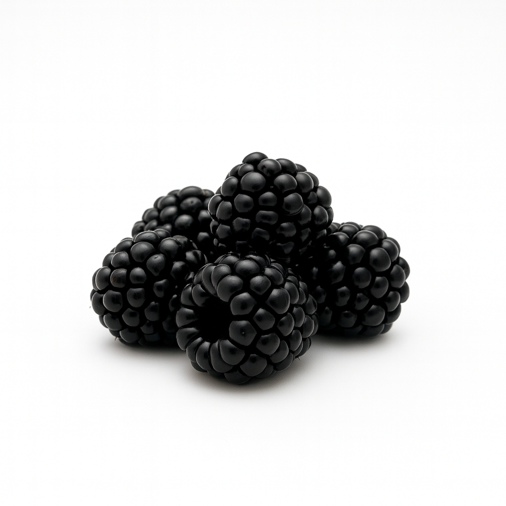 MORAS