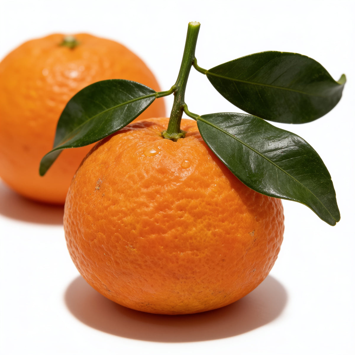 Mandarina de hoja a domicilio – Frutisano
