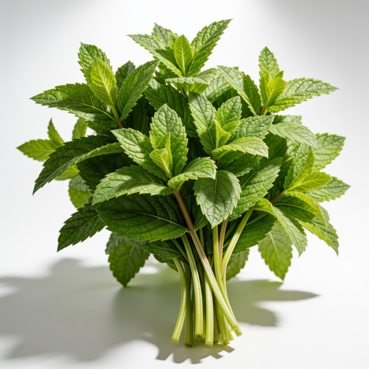 hierbabuena fresca a domicilio – Frutisano