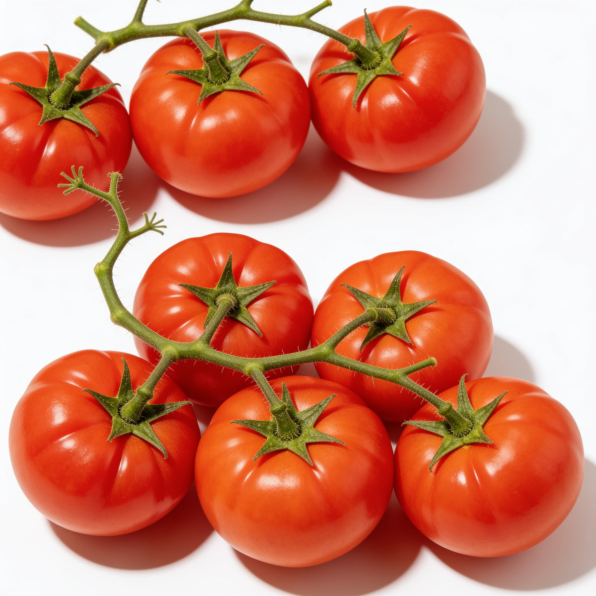 Tomate rama a domicilio – Frutisano