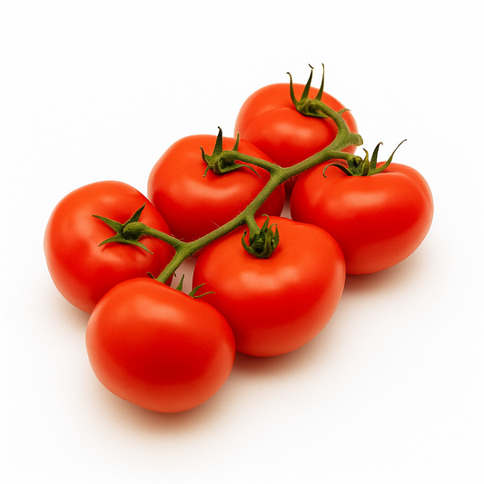 TOMATE RAMA