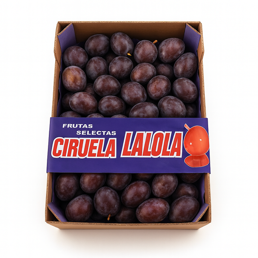 CIRUELA GASPAR