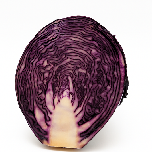 LOMBARDA