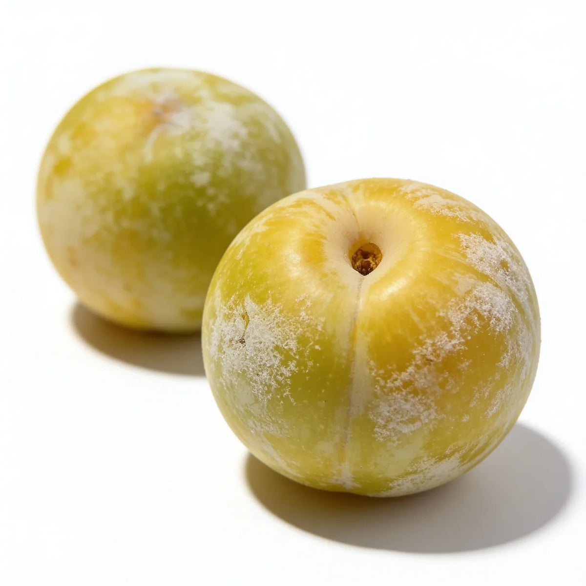 Ciruela amarilla fresca a domicilio – Frutisano