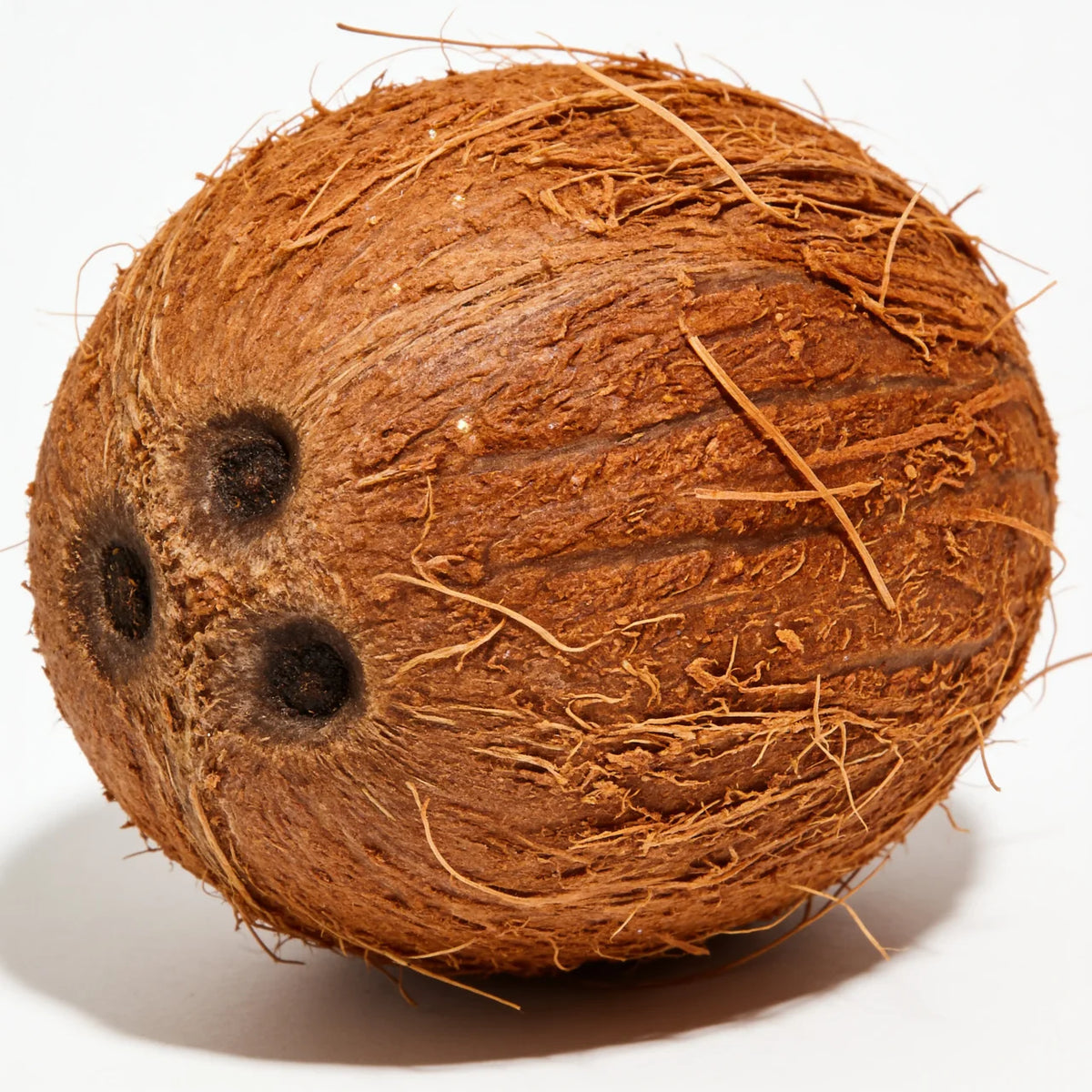 Coco fresco a domicilio – Frutisano