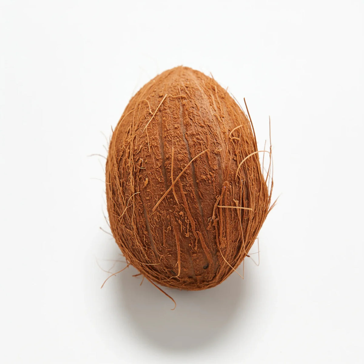 Coco a domicilio – Frutisano