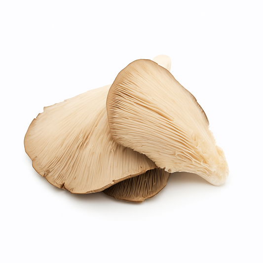 SETA CULTIVO 400GR