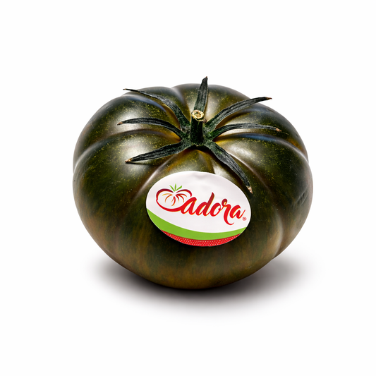 TOMATE ADORA