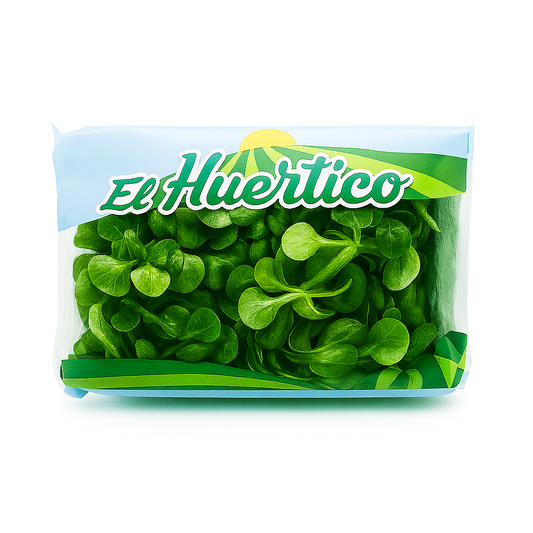 CANÓNIGOS