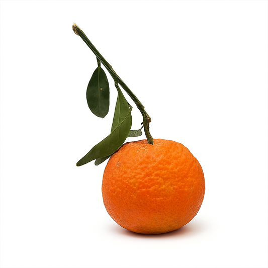 MANDARINA DE HOJA VALENCIA