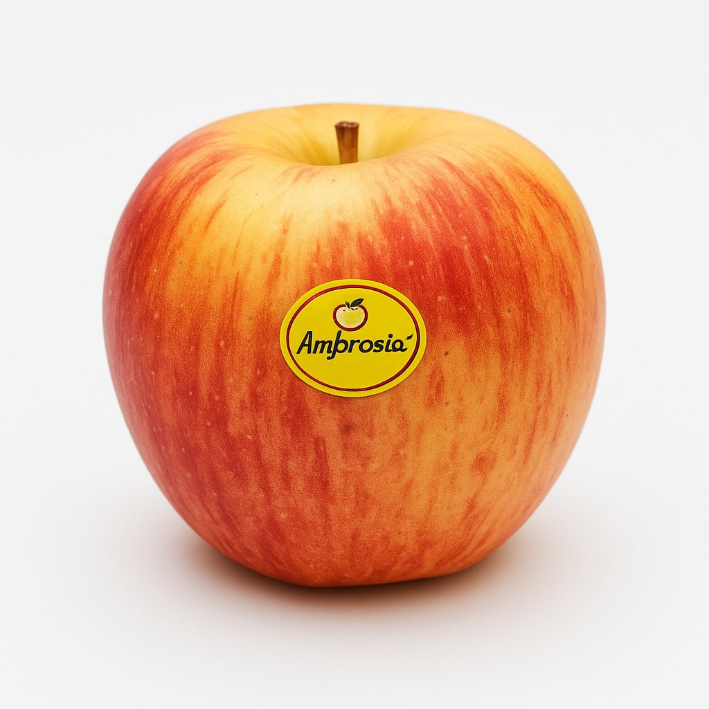 MANZANA AMBROSIA