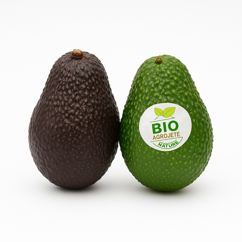 AGUACATE MÁLAGA BIO