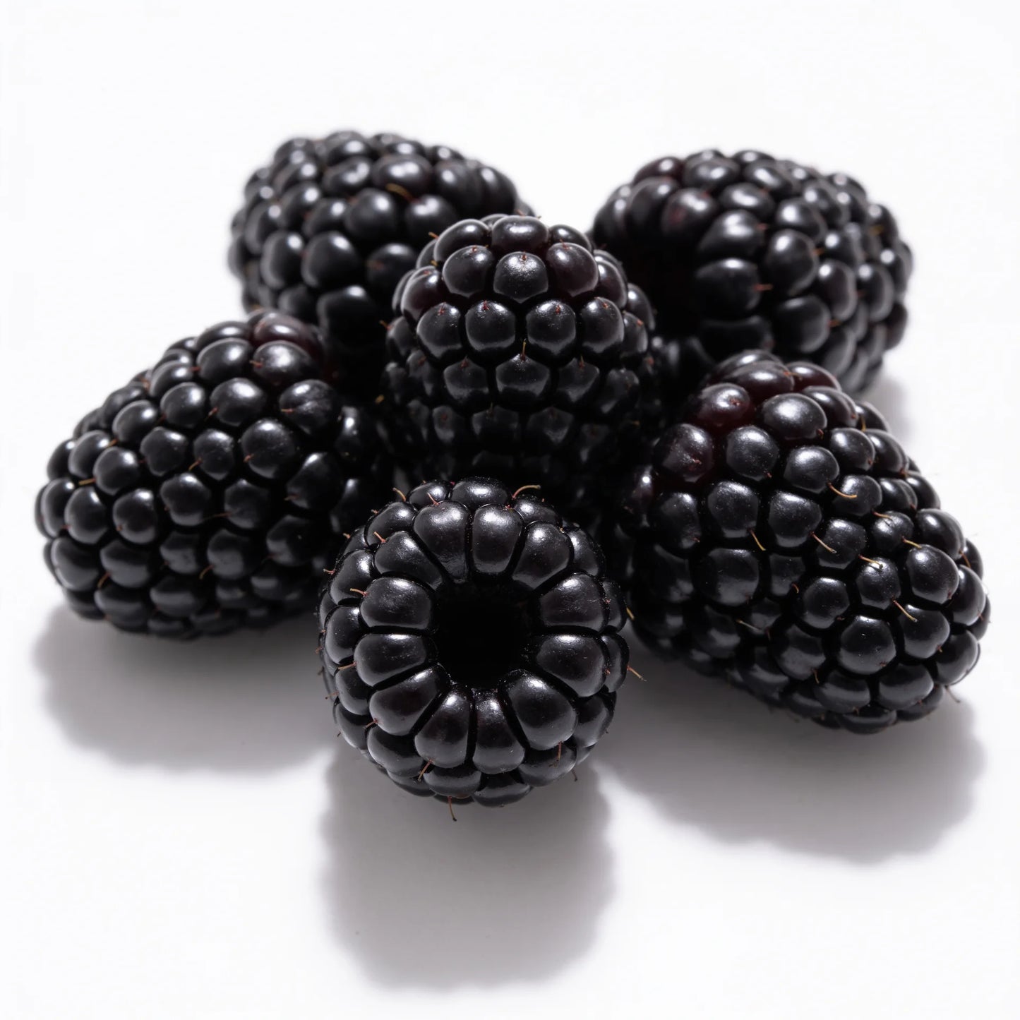 Moras a domicilio – Frutisano