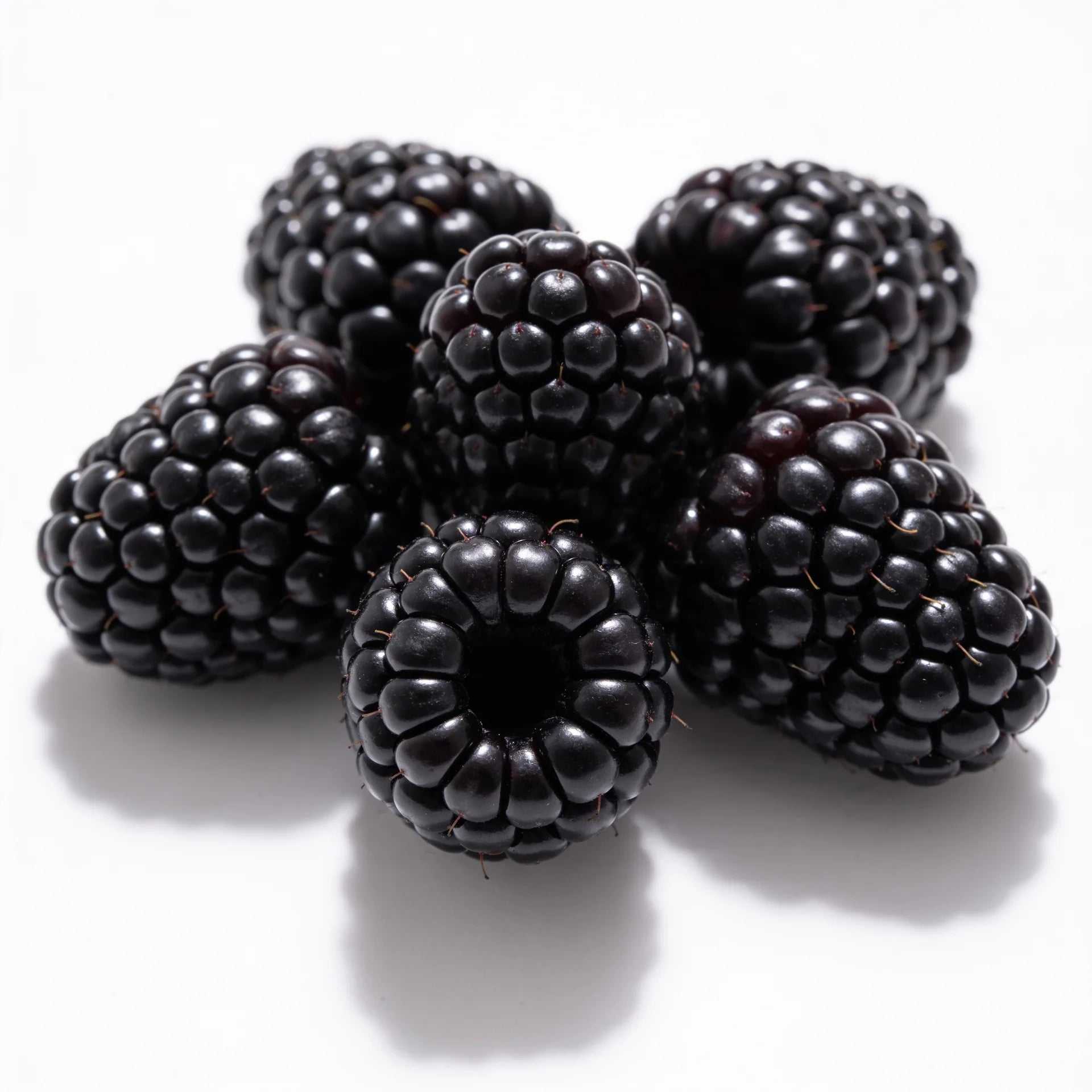 Moras a domicilio – Frutisano