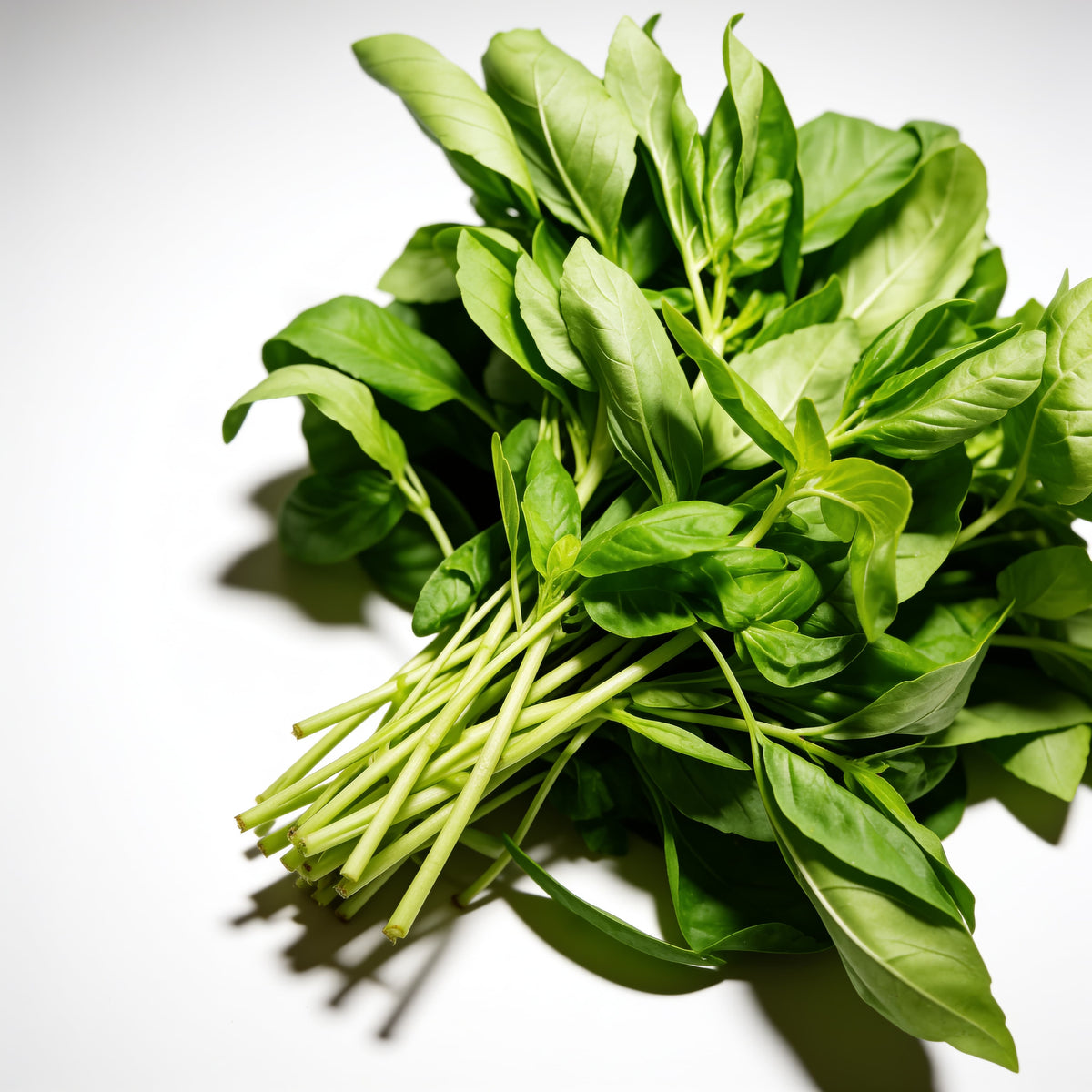 Albahaca fresca a domicilio – Frutisano