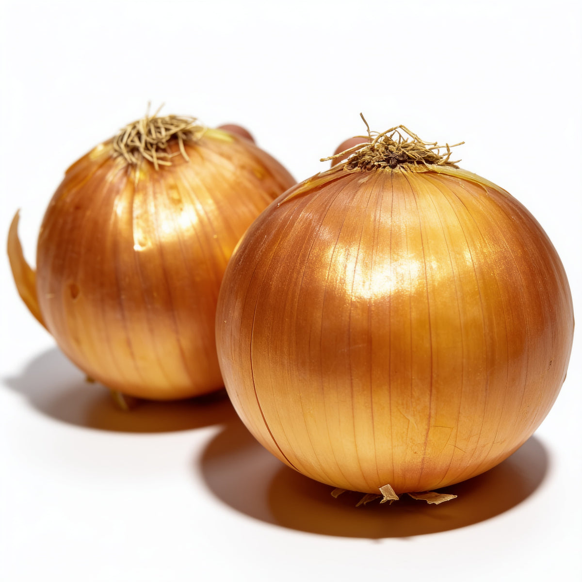 Cebolla fresca a domicilio – Frutisano