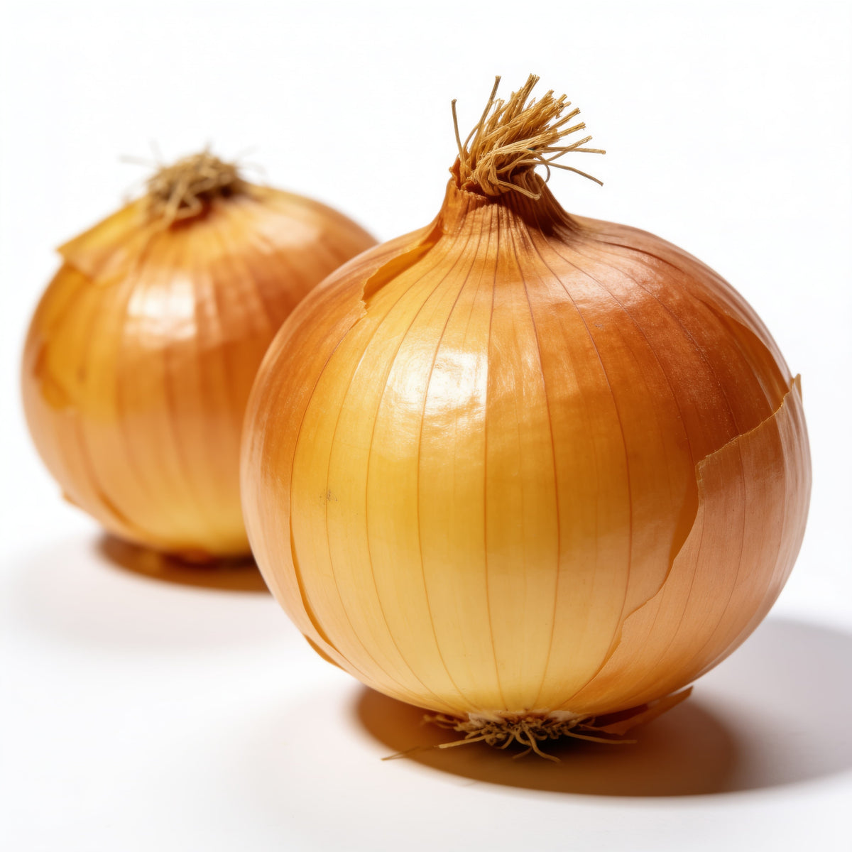 Cebolla a domicilio – Frutisano