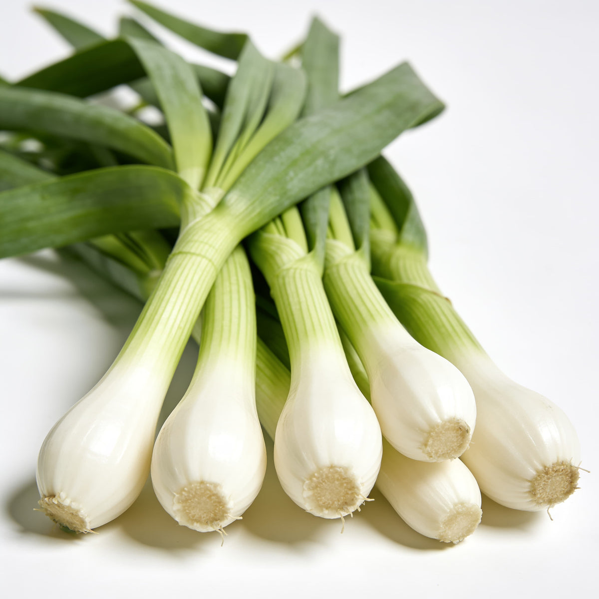 Cebolleta fresca a domicilio – Frutisano
