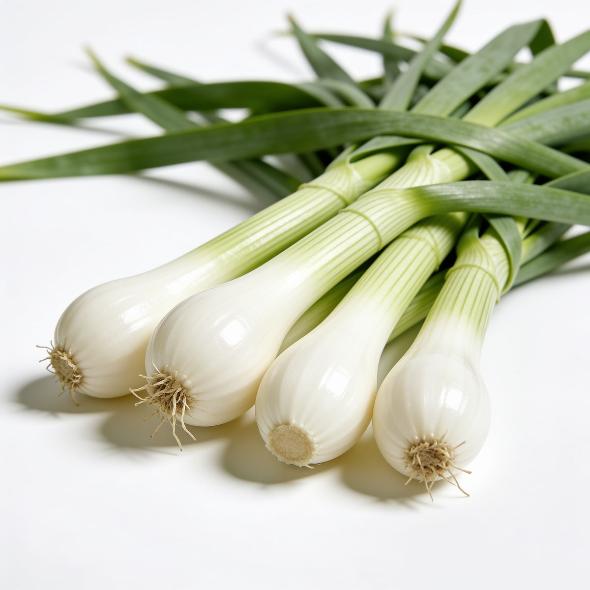 Cebolleta a domicilio – Frutisano