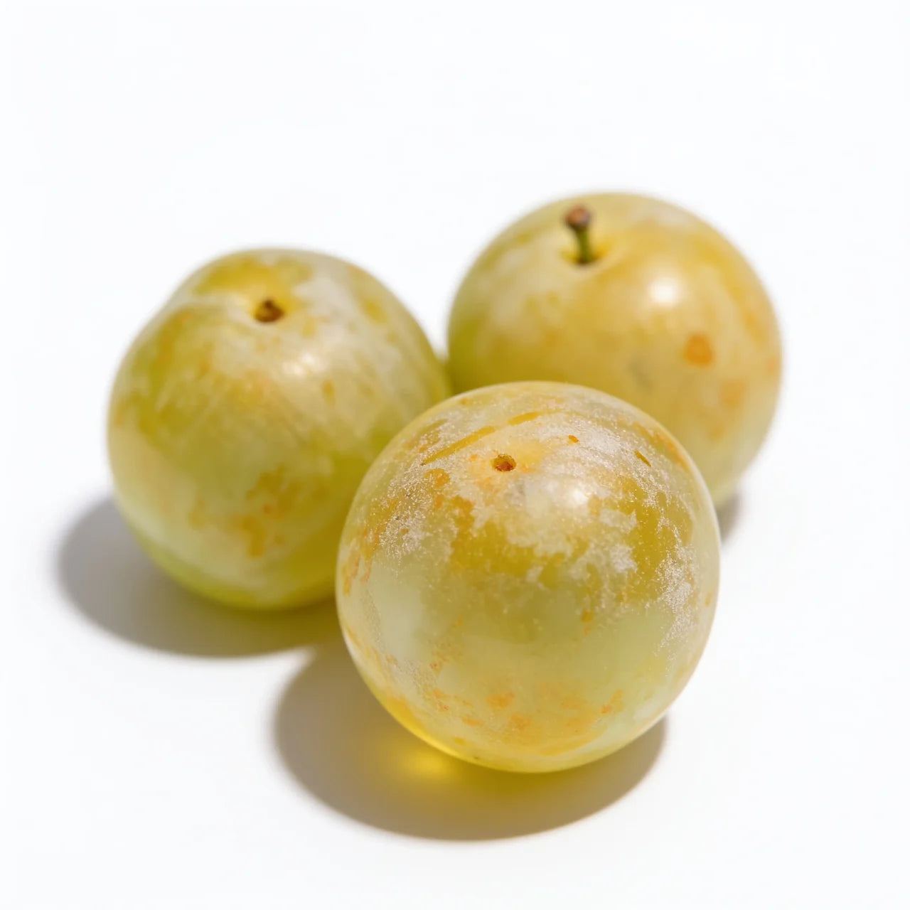 Ciruela claudia de temporadaa domicilio – Frutisano