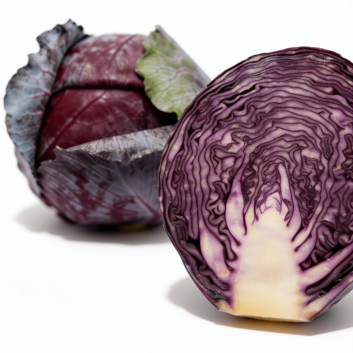 Lombarda fresca a domicilio – Frutisano