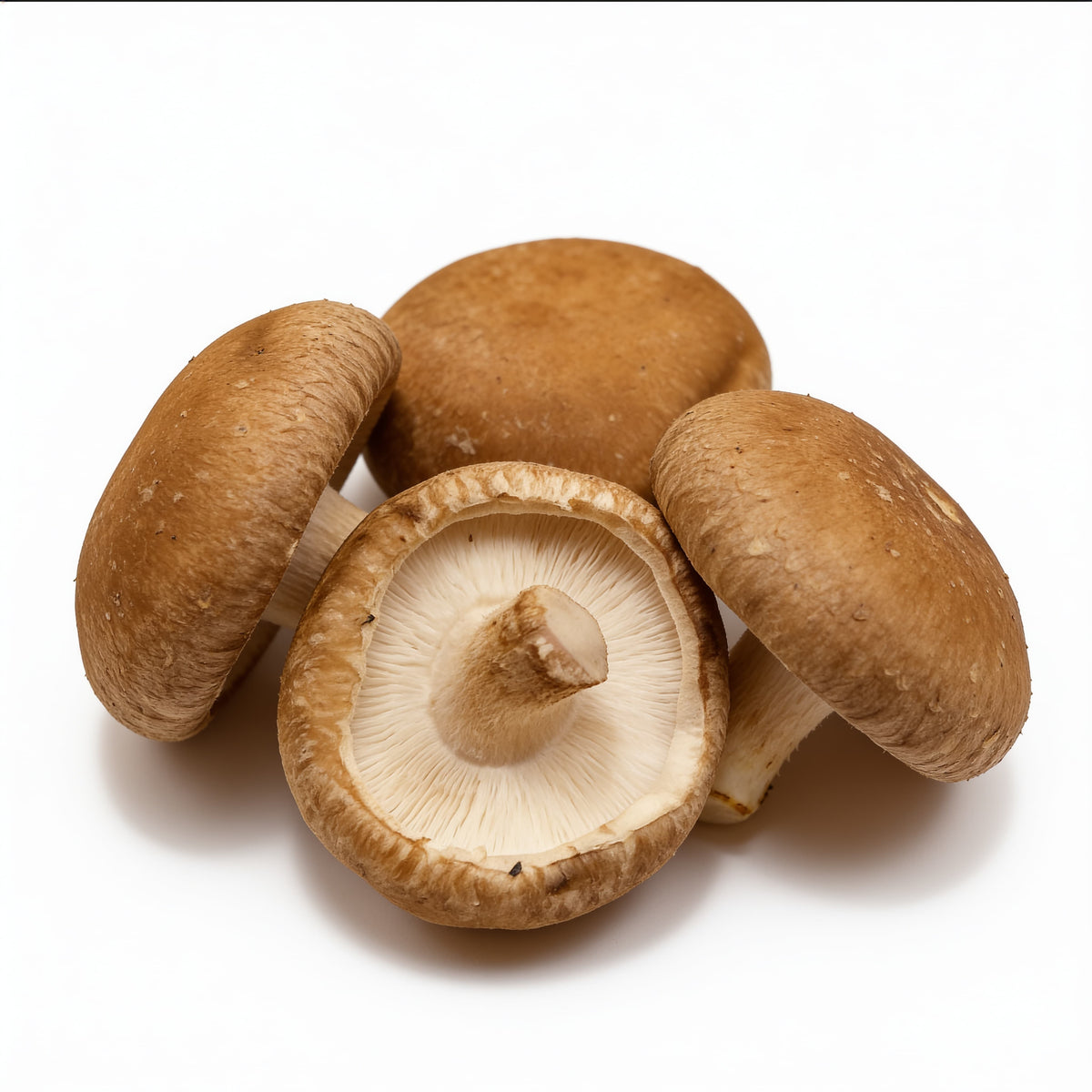 setas shiitake a domicilio – Frutisano